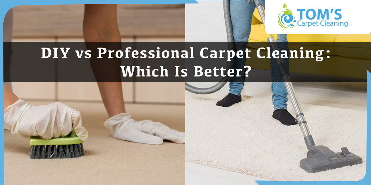 DIY vs Professional Carpet Cleaning: Which Is Better?