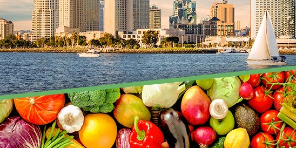 Dietician San Diego: Cultivating Health through Personalized Nutrition Strategies