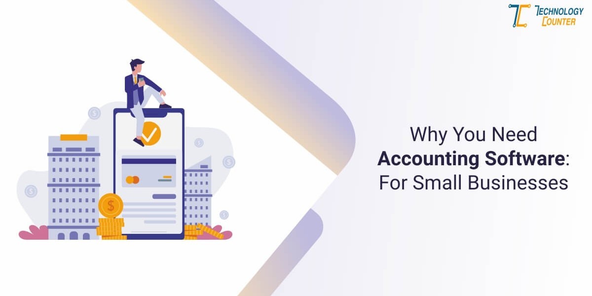 Why Small Businesses Need Accounting Software