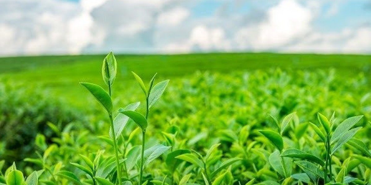 Plant Genomics Market: Top Companies and Forecasted Outlook until 2025