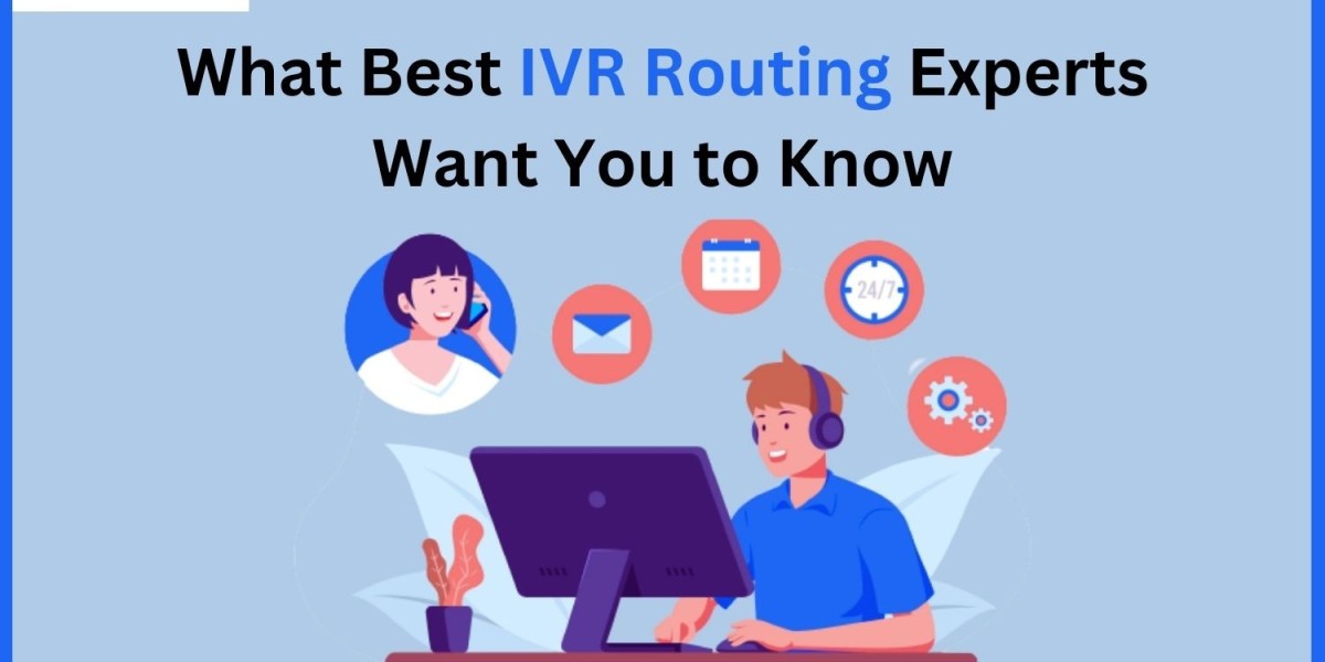 What Best IVR Routing Experts Want You to Know