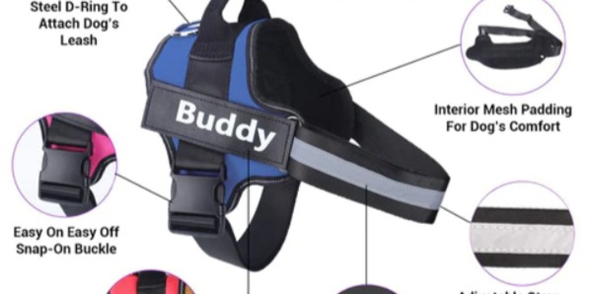 Personalized No Pull Dog Harness - Buddy Harness