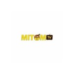 mitom tv Profile Picture