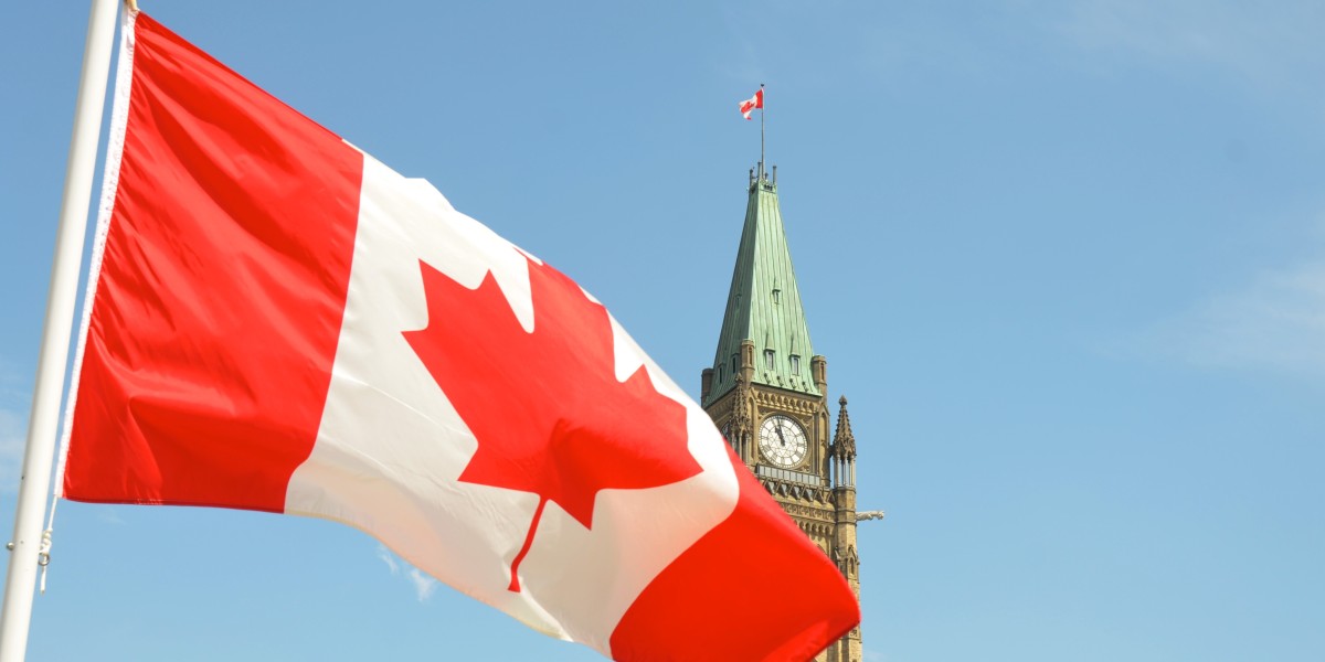 The Role of Immigration Consultants in Making Your Canadian Dreams Come True