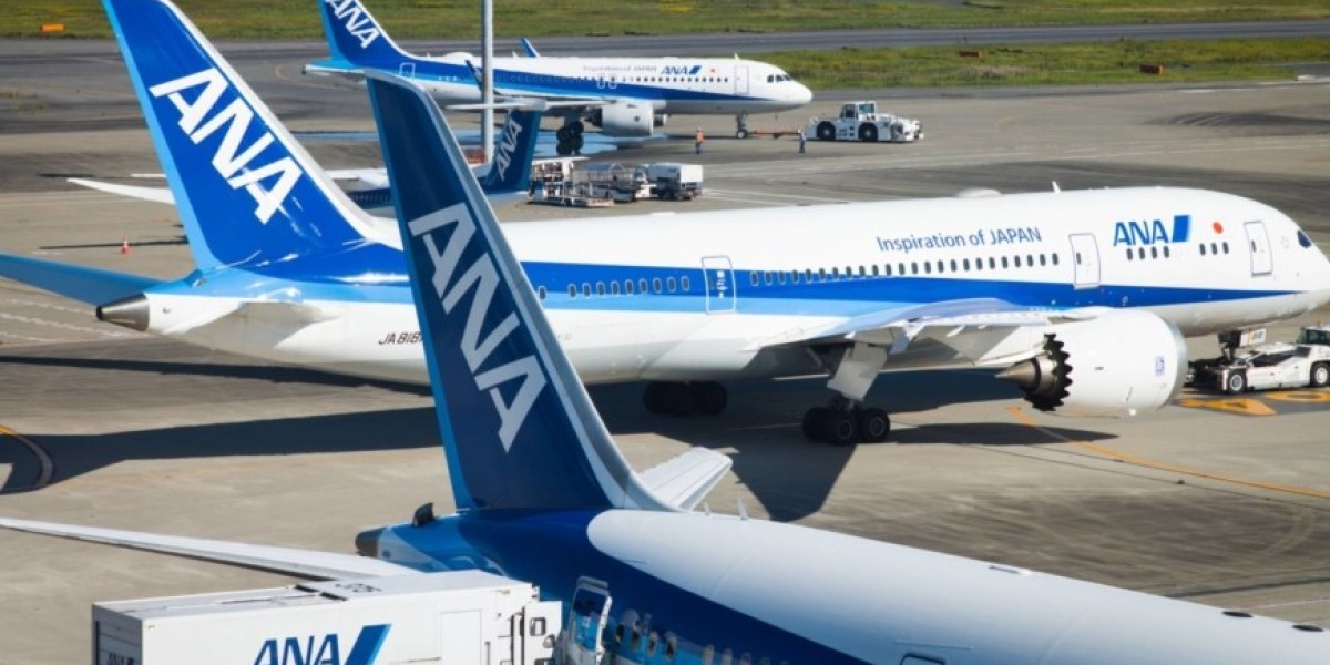 How many times can I change my flight with ANA?