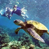Explore Maui's Marine Wonderland On Our Turtle Reef Kayak Tour