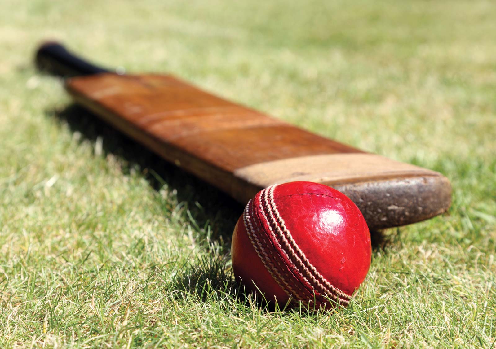 Online Cricket Betting – A Medium To Earn Big In Less Time