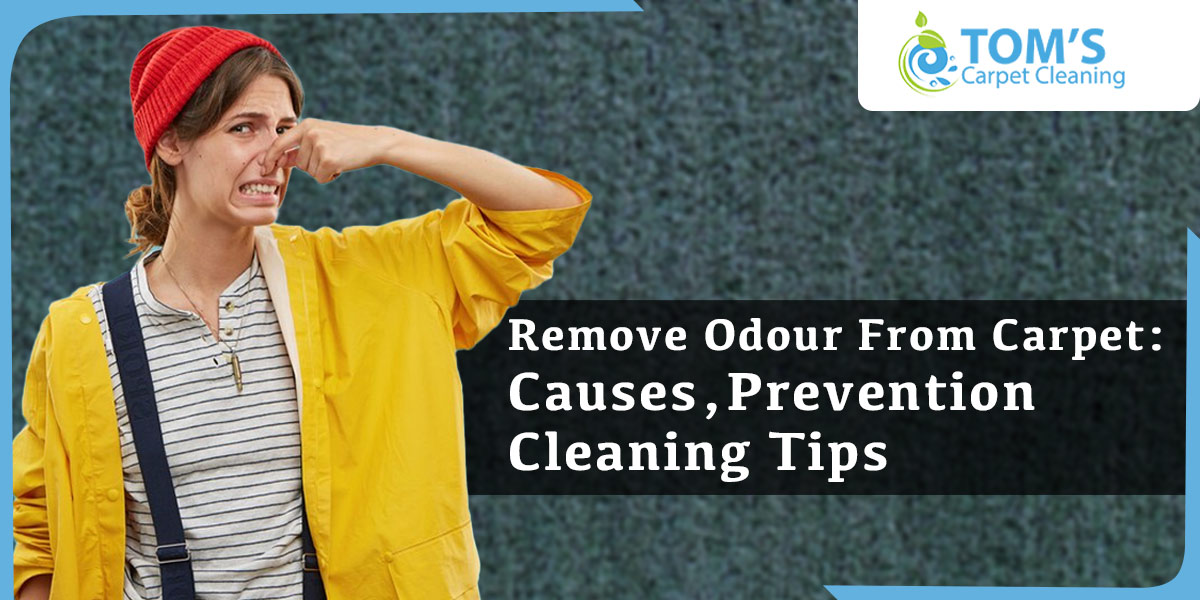 Remove Odour From Carpet: Causes, Prevention, Cleaning Tips