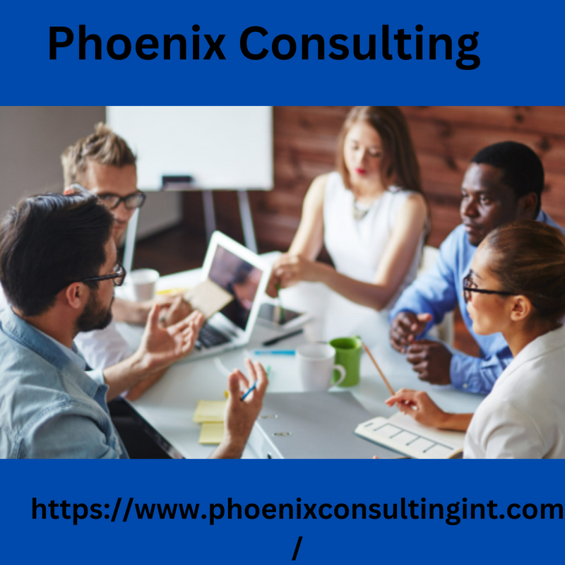 Phoenix Consulting - Organizational Development Consulting MENA