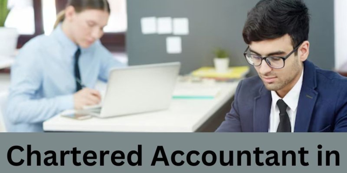 Chartered Accountant in Greater Noida