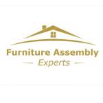 Furniture Assembly Expert