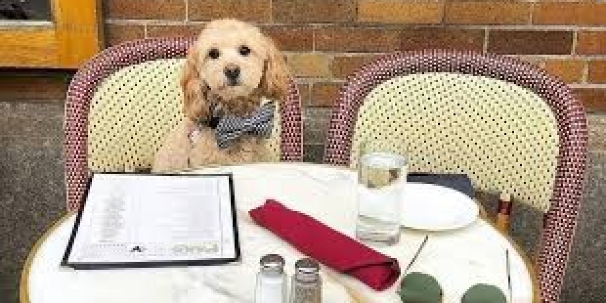 Where Dogs are Welcome: Seattle's Ultimate Guide to Dog-Friendly Hotels