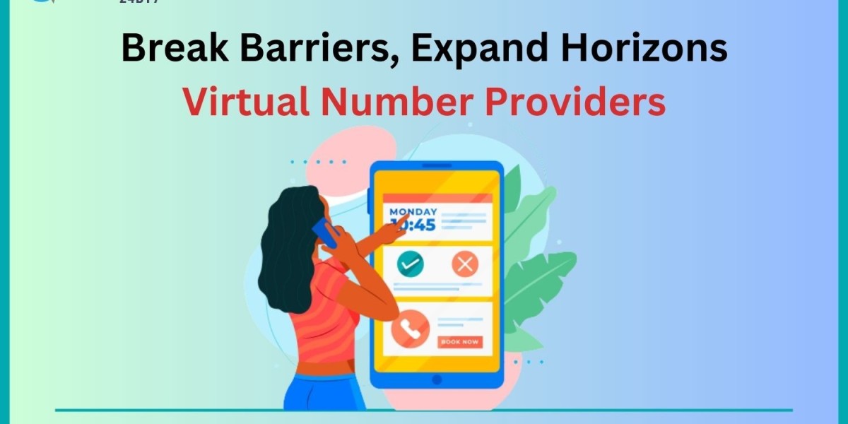 Break Barriers, Expand Horizons: Virtual Number Providers