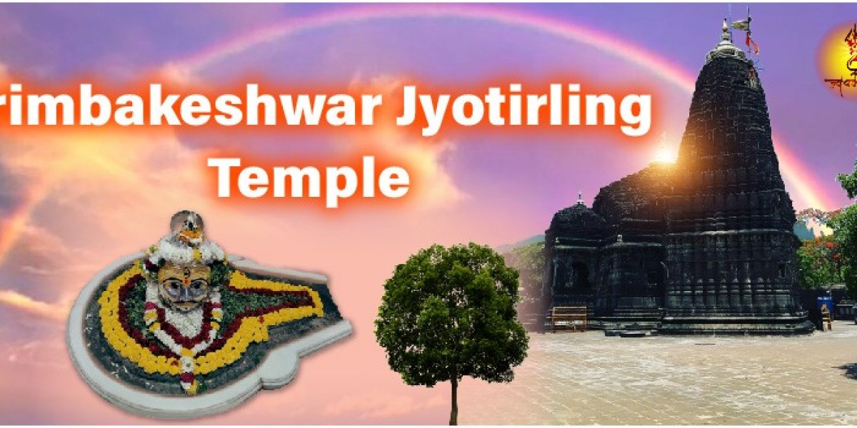 Trimbakeshwar Pitra Dosh Puja Dates and Narayan Nagbali Puja Cost: Everything You Need to Know