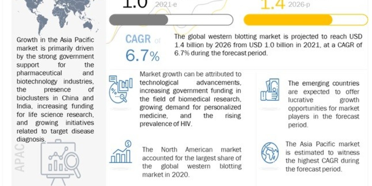 Who are the key players in the Western Blotting Market?
