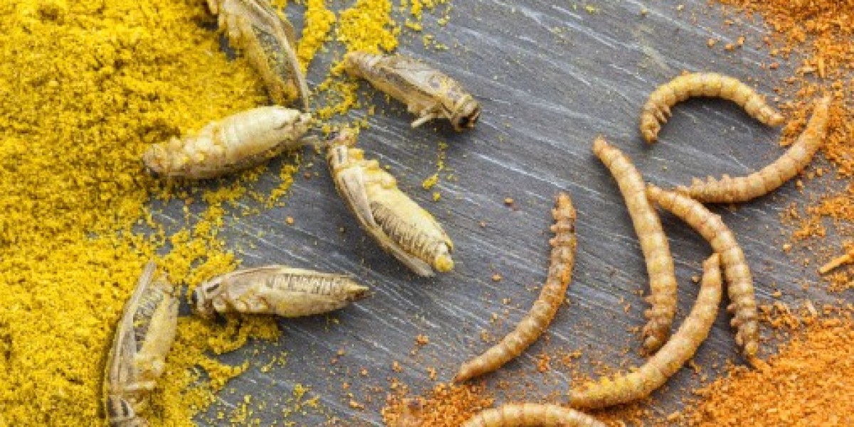 Insect Protein Market Insights Shared in Detailed Report, Forecasts to 2027