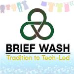 Brief Wash