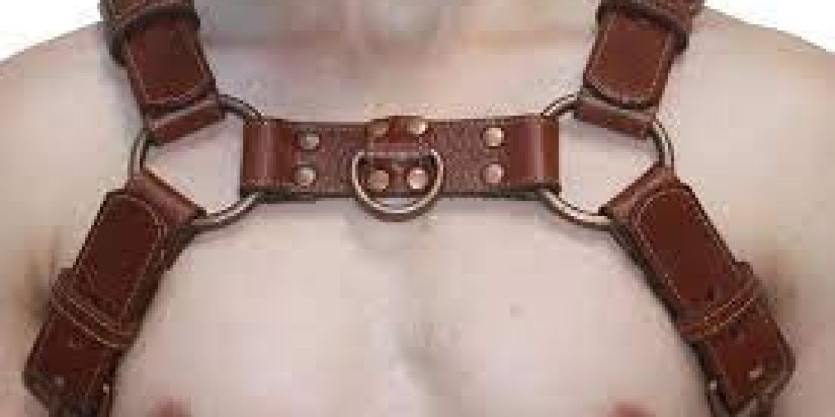 Types of Bulldog Harnesses: Which One is Right for Your Pet?