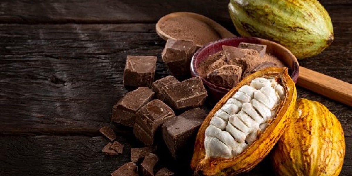 Cocoa Chocolate Market Size by Competitor Analysis, Regional Portfolio, and Forecast 2030