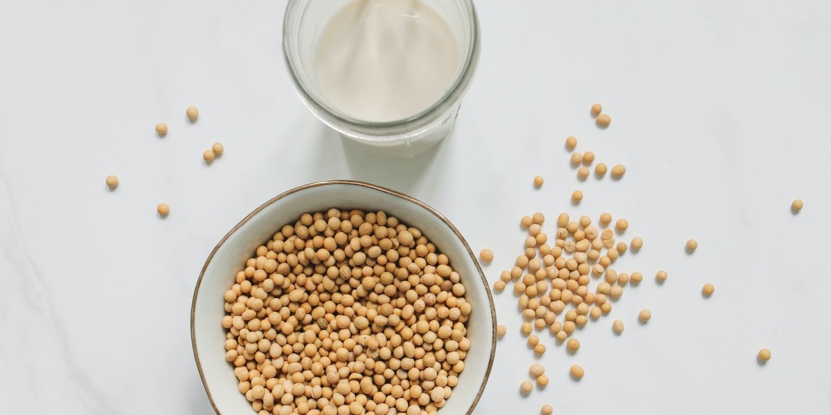 Soy Milk Market Insights Research Report And Overview On Global Market Till 2030