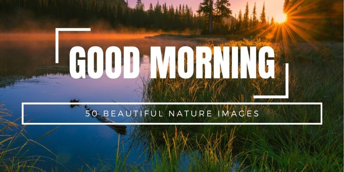 Discover the Calming Power of Nature with These Gorgeous Good Morning Photos