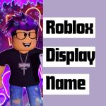 Roblox Display Name