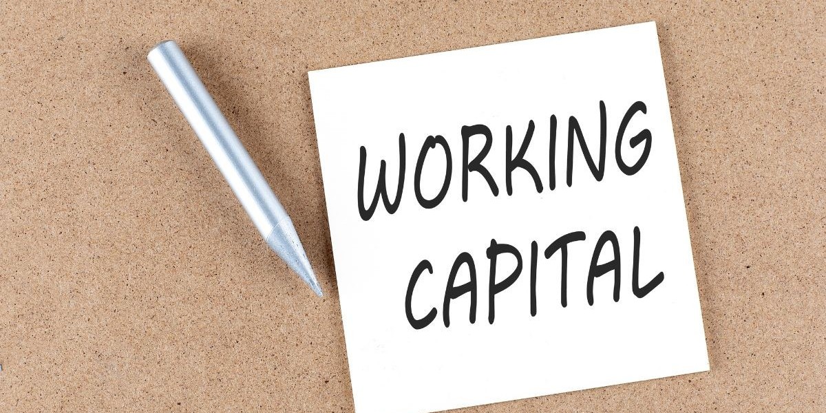 The Capital You Need When You Need It: Exploring the World of Working Capital Loans