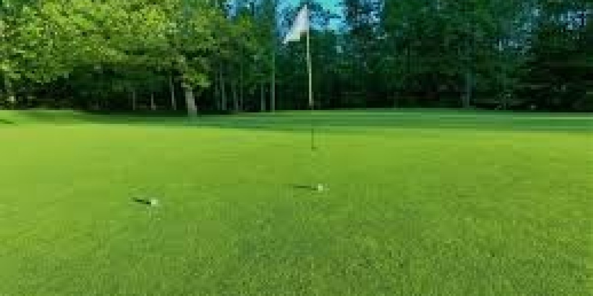 Enhance Your Backyard With Golf Putting Green Installation in Austin