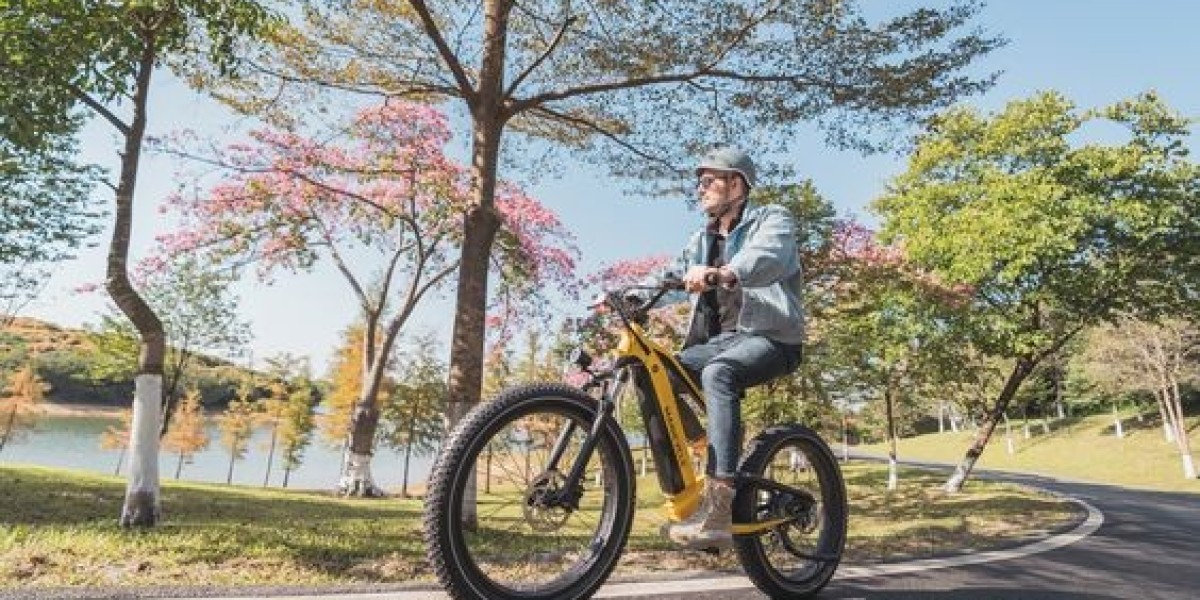 Safety Considerations for Riding a Full Suspension Electric Bike in the Wilderness