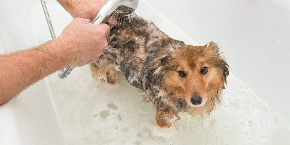 Grooming for Shedding: Managing Dog Hair at Home