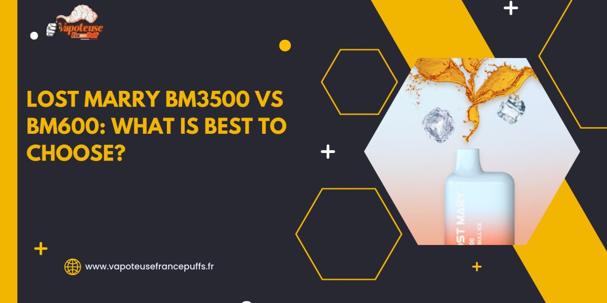Lost Marry BM3500 vs BM600: What is Best to Choose?