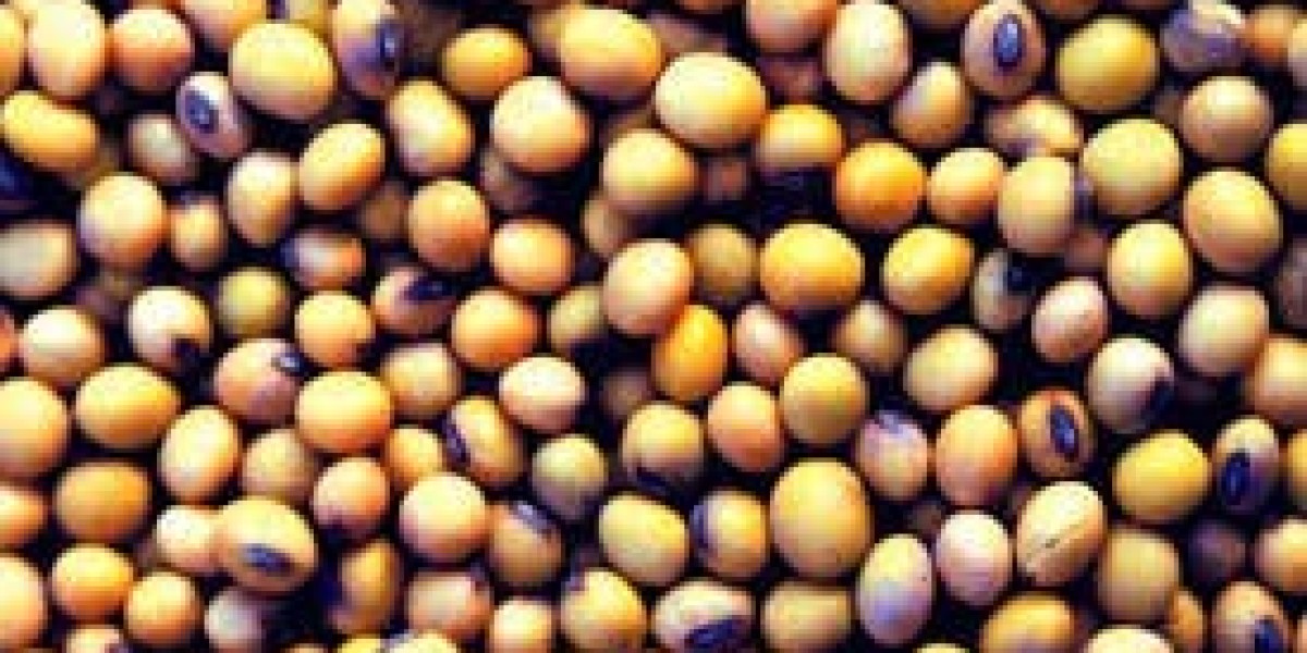 Oilseeds Industry Will Rise Due to Growing Popularity of Functional Foods and Beverages
