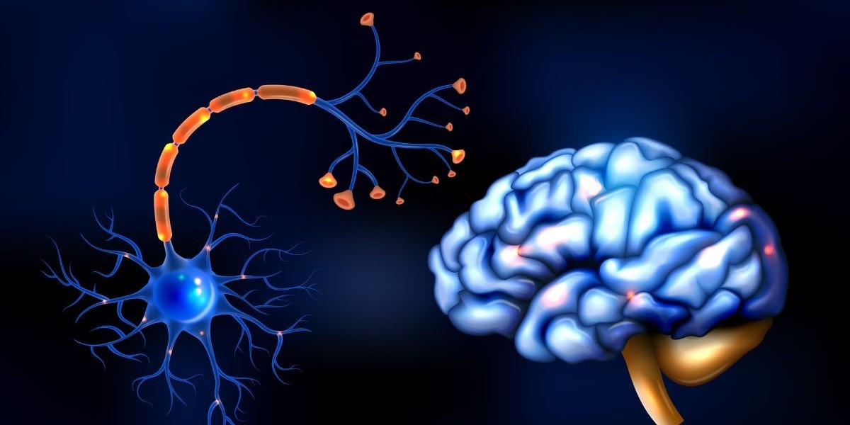 Motor Neuron Disease Market Size, 2023 Analysis, Industry Trends and Forecasts to 2033