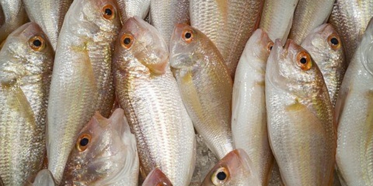 Key Fish Protein Hydrolysate Market Players, Present Scenario and Growth Prospects, Competition, Opportunities and Chall
