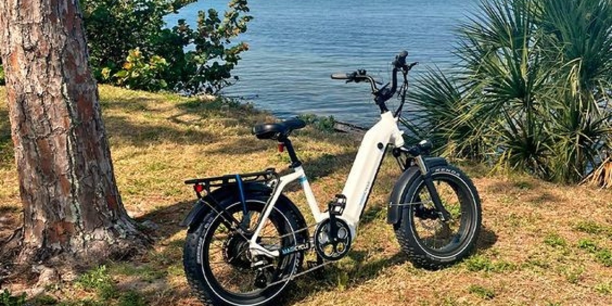Can Fat Tire Electric Bikes Handle The Challenges Of Off-Road Adventures?