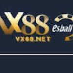 Vx88 Net