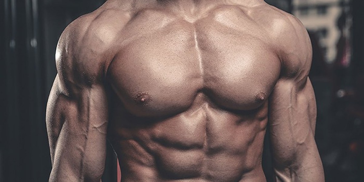 Navigating through the Upper and Lower Chest workouts