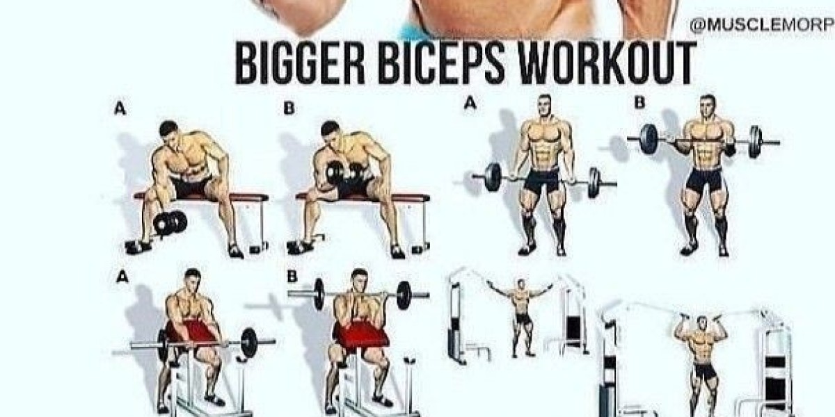 Exercises every Biceps workout for beginners should have
