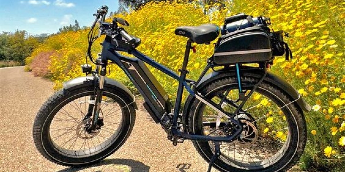 Are Fat Tire Ebikes Worth The Investment?