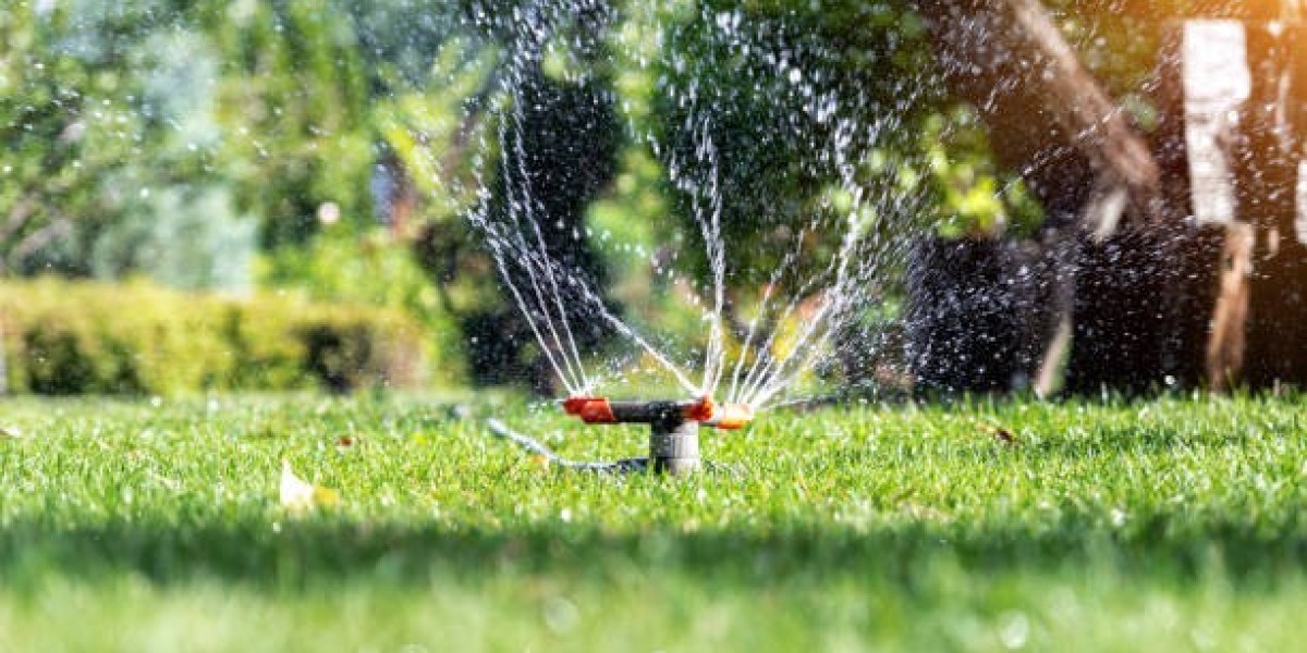 Sprinkler Irrigation Systems Market Insights: Drivers, Key Players, and Forecast 2030