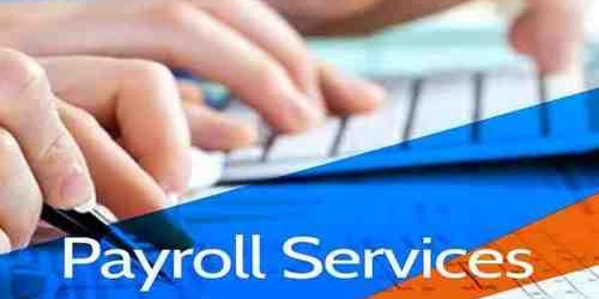 Top IT Contractor Payroll Companies
