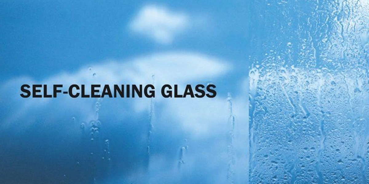 Self-Cleaning Glass Market Trends and Segment Forecast to 2029