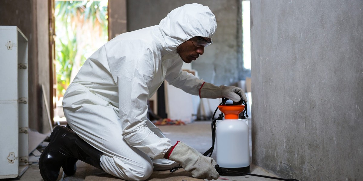 Pest Control In Allahabad: Creating Pest-Free Environments