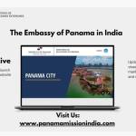 Panama Embassy Service