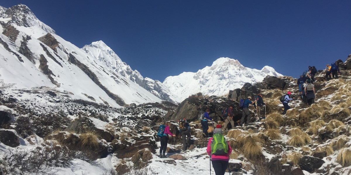Exploring the Enchanting Ghorepani Poon Hill Trek: A Comprehensive Guide to Nepal's Scenic Splendor