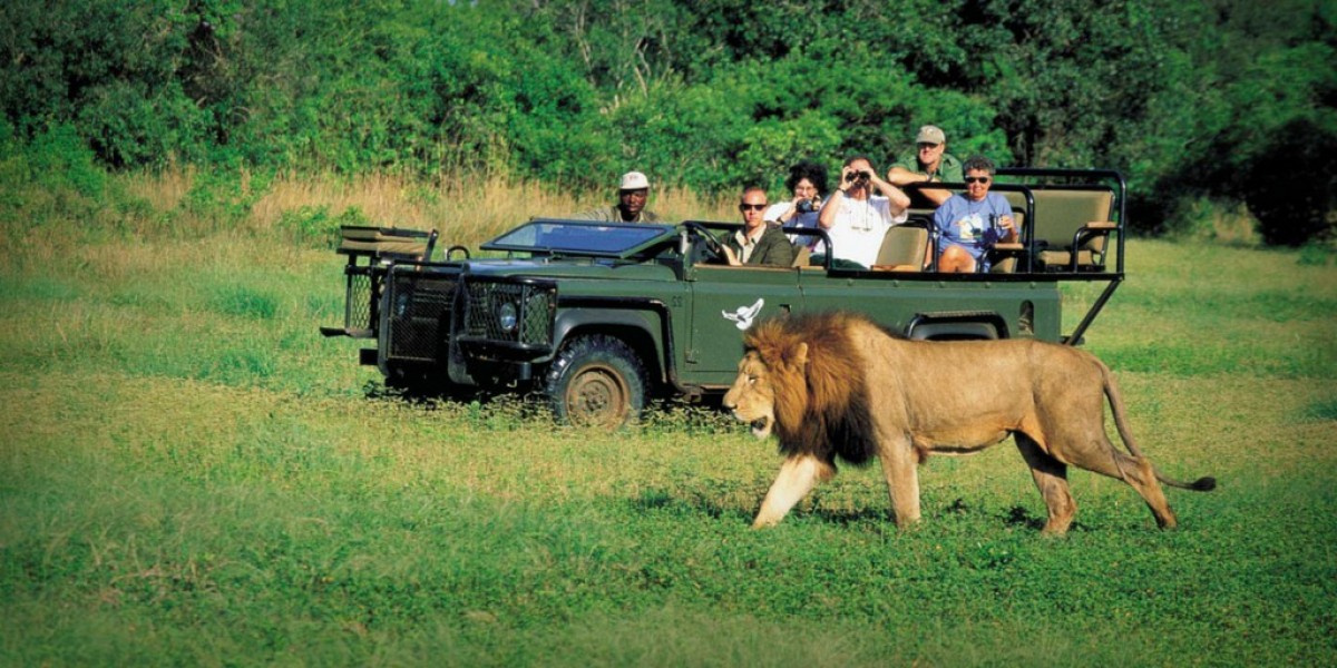 Safari Tourism Market Share 2023 | Industry Size, Growth and Forecast 2028