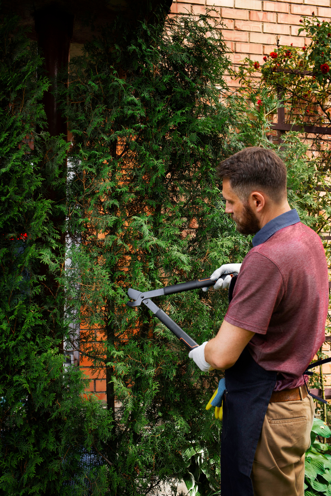 Tips for Choosing the Right Winchester Tree Care Service