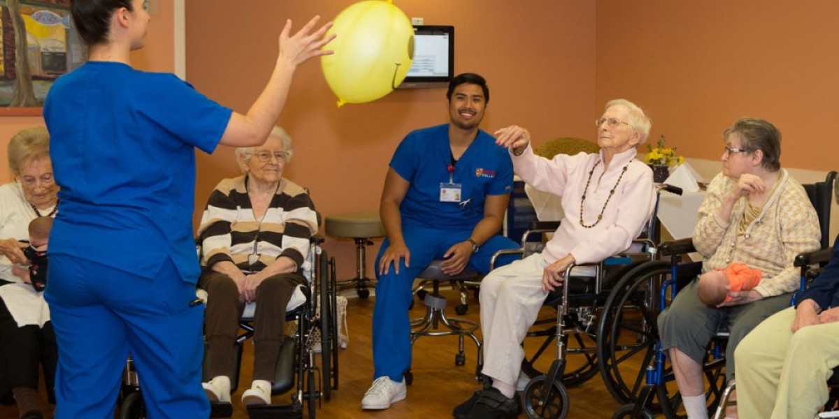 Skilled Nursing Facility Market Growth, Demand, Trends, and Forecast 2023-2028