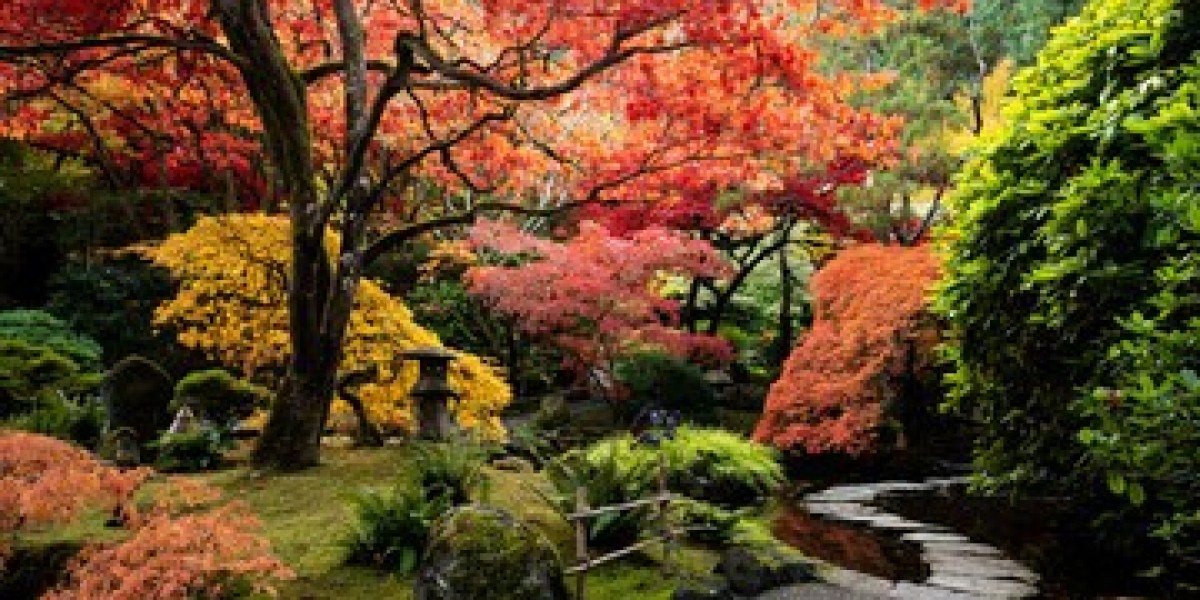 Be the Envy of Your Neighbors with Beautiful Japanese Maples