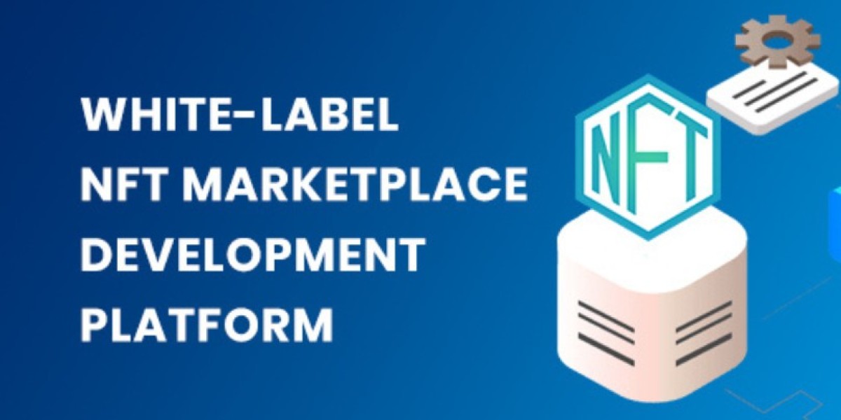 Unleashing the Potential of NFTs: The Power of White Label NFT Marketplace Development